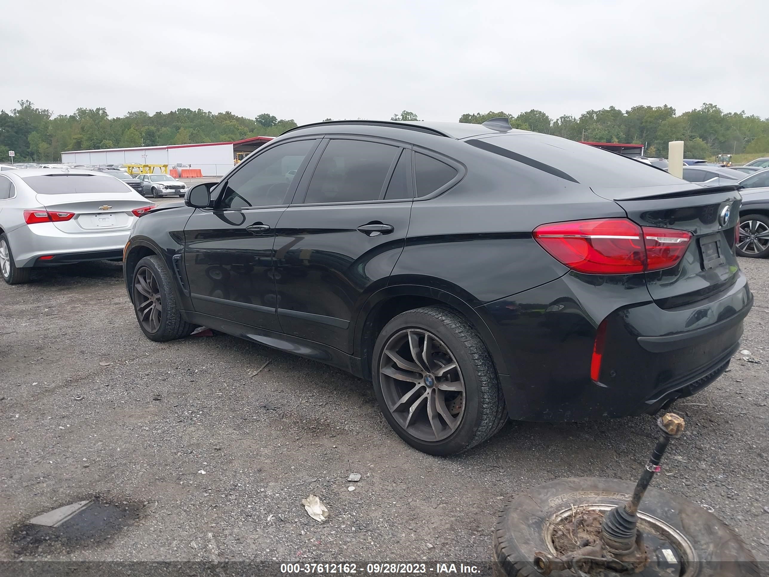 Photo 2 VIN: 5YMKW8C53F0G93629 - BMW X6 M 