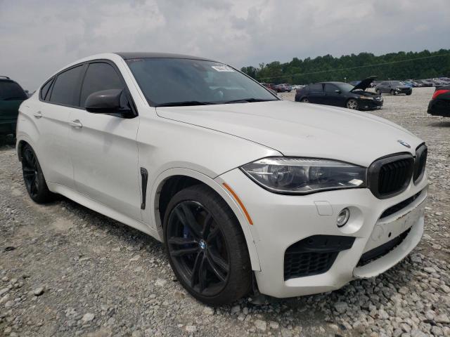 Photo 3 VIN: 5YMKW8C54G0R43653 - BMW X6 M 