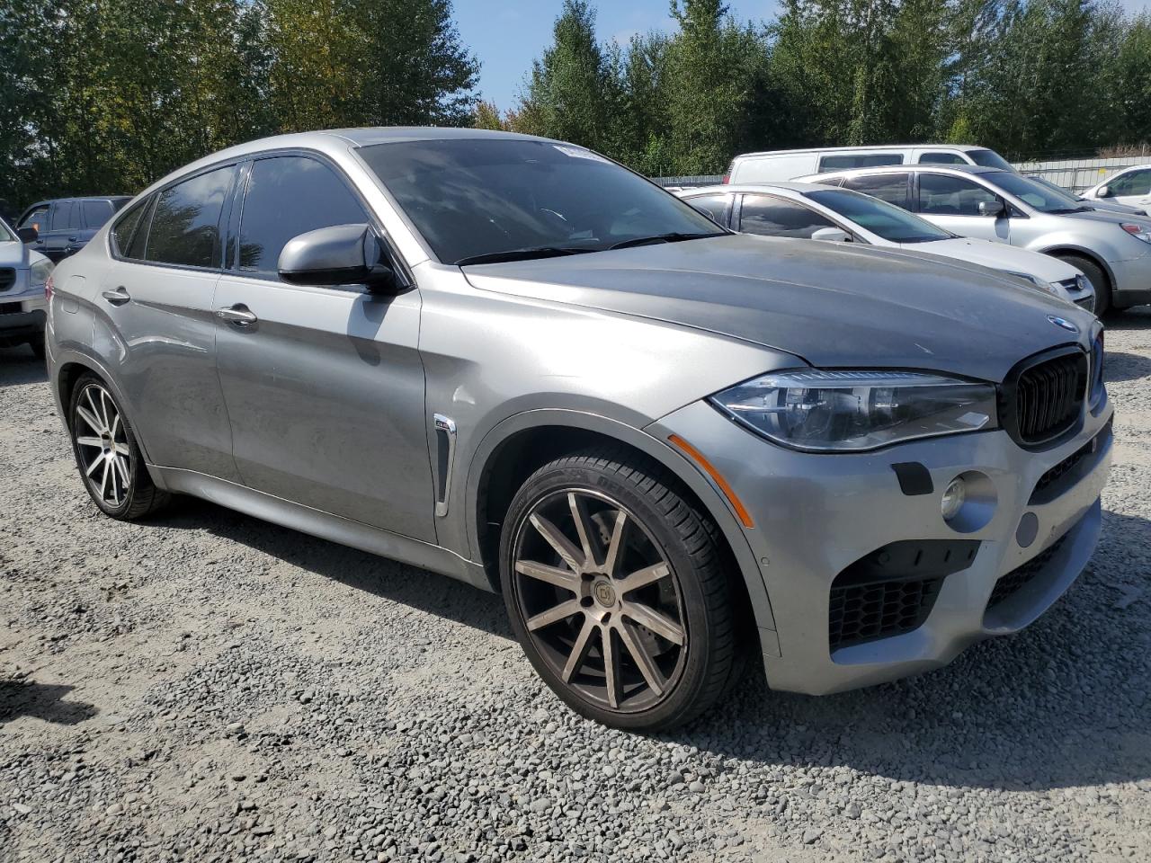 Photo 3 VIN: 5YMKW8C55G0R43290 - BMW X6 