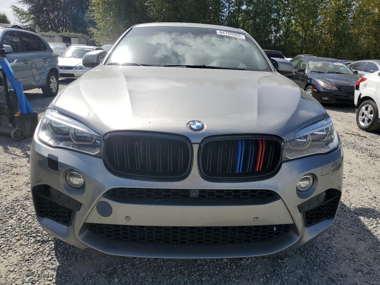 Photo 4 VIN: 5YMKW8C55G0R43290 - BMW X6 