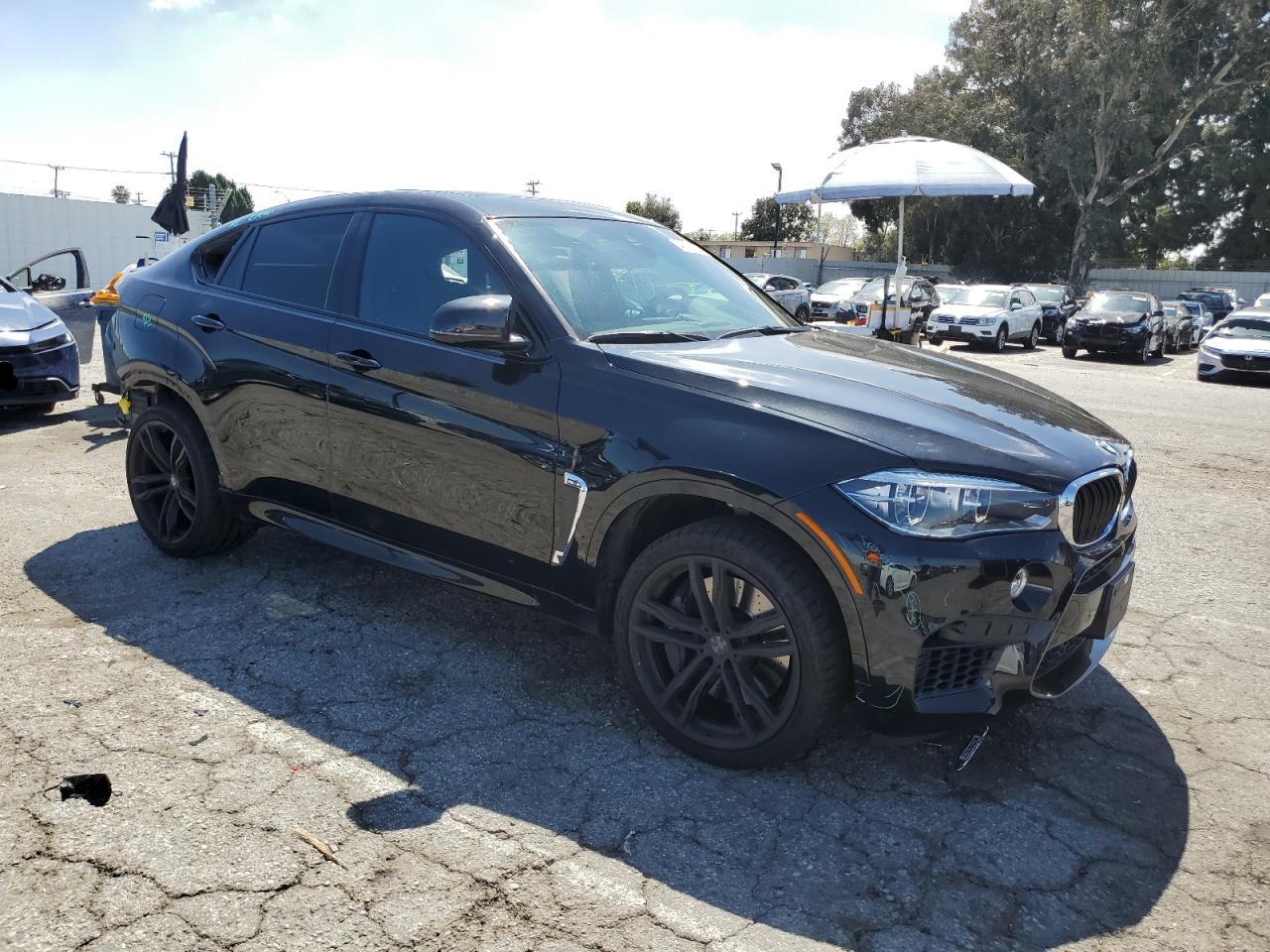 Photo 3 VIN: 5YMKW8C56J0Y74536 - BMW X6 