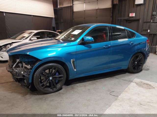 Photo 1 VIN: 5YMKW8C56K0Y74988 - BMW X6 M 