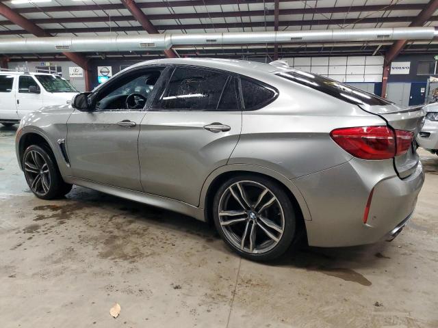 Photo 1 VIN: 5YMKW8C58G0R43686 - BMW X6 M 