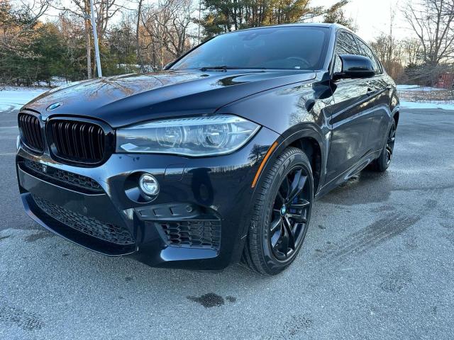 Photo 1 VIN: 5YMKW8C59F0G93683 - BMW X6 