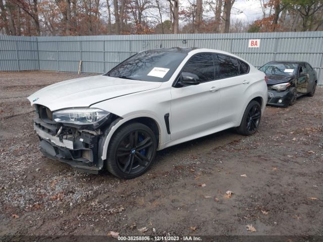 Photo 1 VIN: 5YMKW8C5XG0R43138 - BMW X6 M 