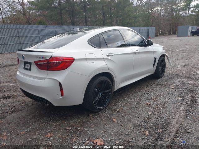 Photo 3 VIN: 5YMKW8C5XG0R43138 - BMW X6 M 