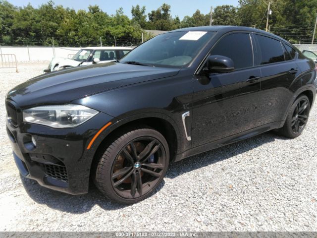 Photo 1 VIN: 5YMKW8C5XJ0Y74653 - BMW X6 M 