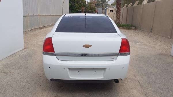 Photo 6 VIN: 6G1ML54B18L974223 - CHEVROLET CAPRICE 