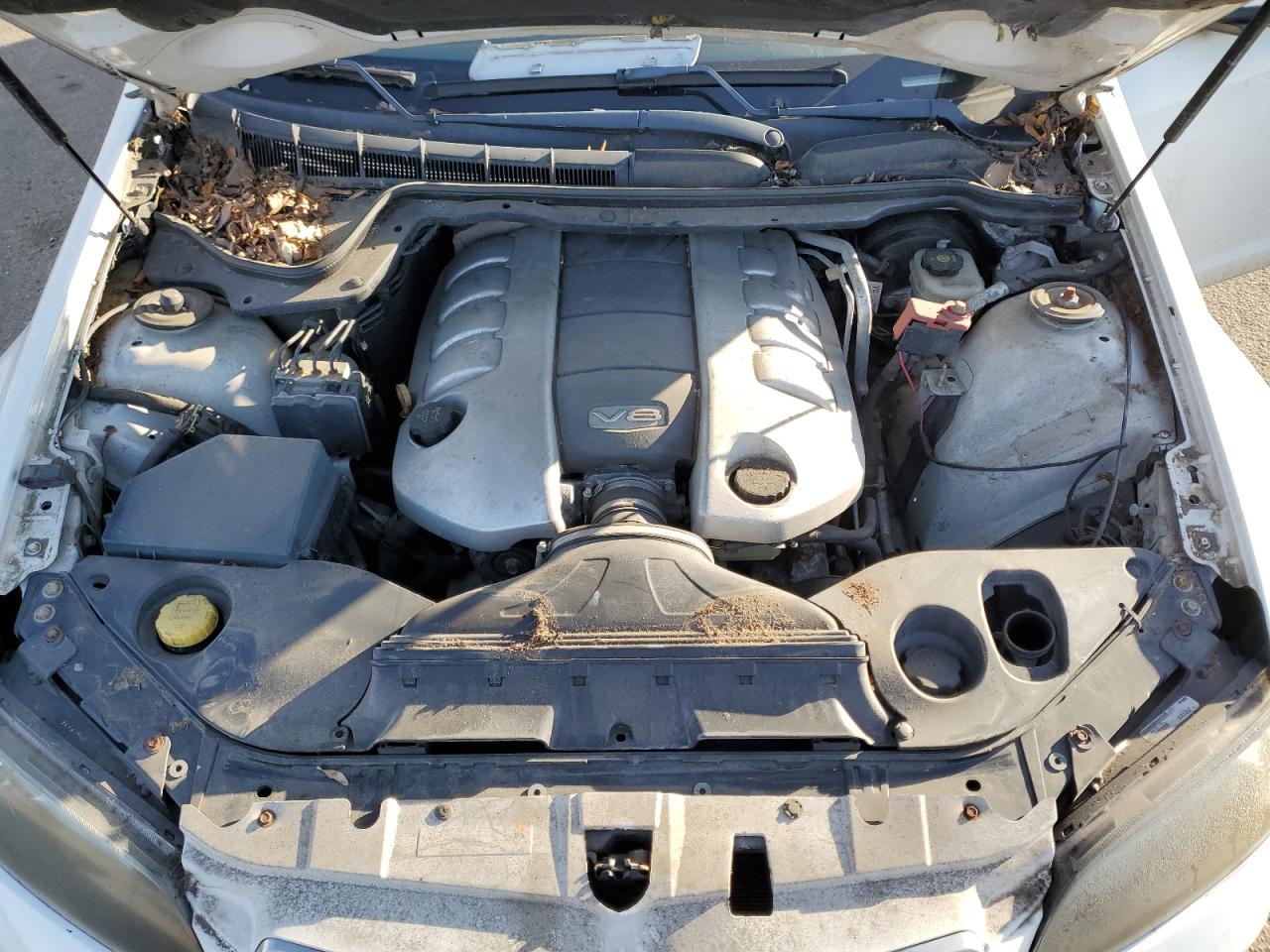 Photo 10 VIN: 6G2EC57Y29L220605 - PONTIAC G8 