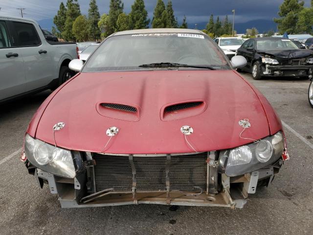 Photo 4 VIN: 6G2VX12G14L296837 - PONTIAC GTO 