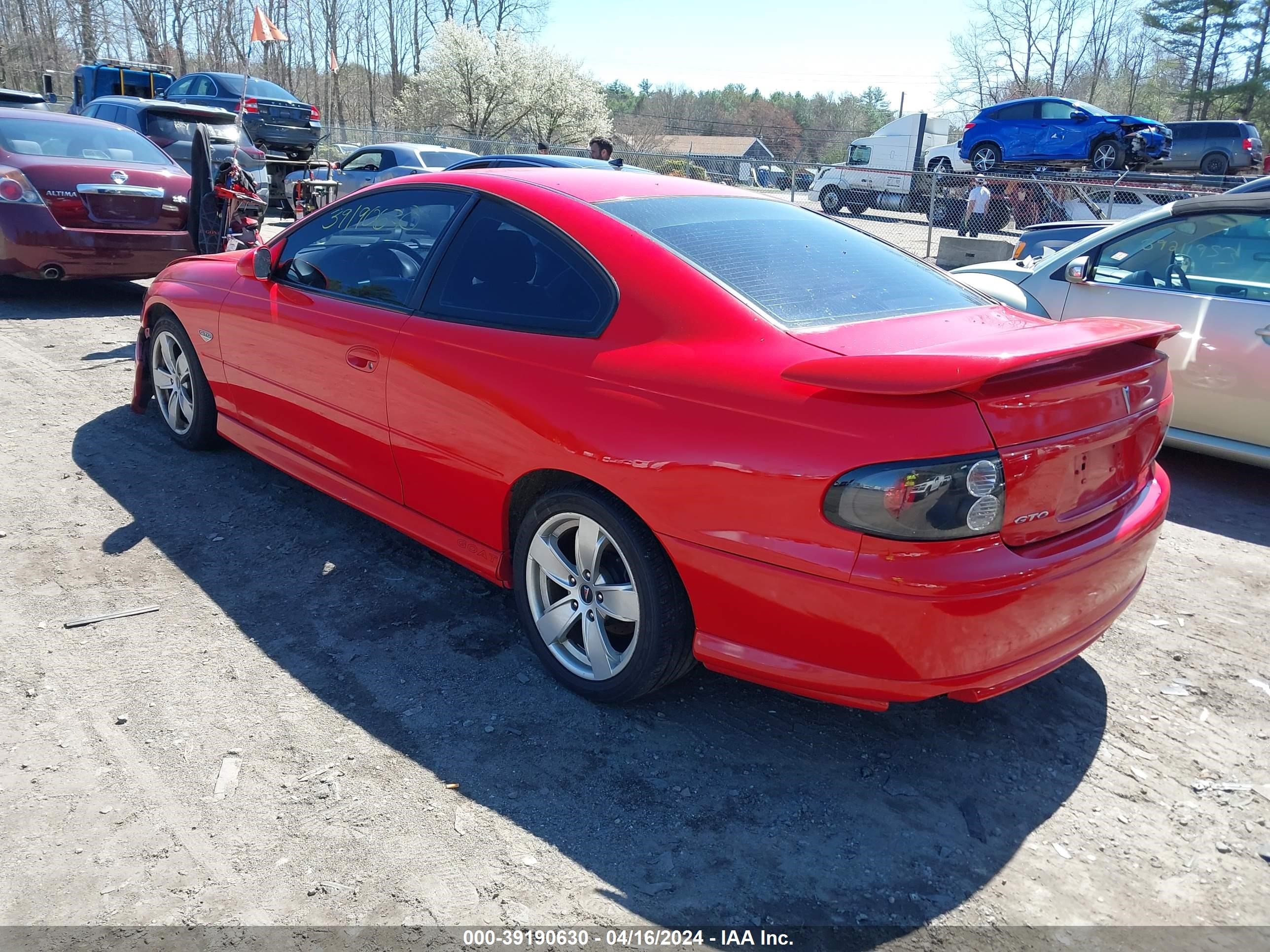 Photo 2 VIN: 6G2VX12G64L301045 - PONTIAC GTO 