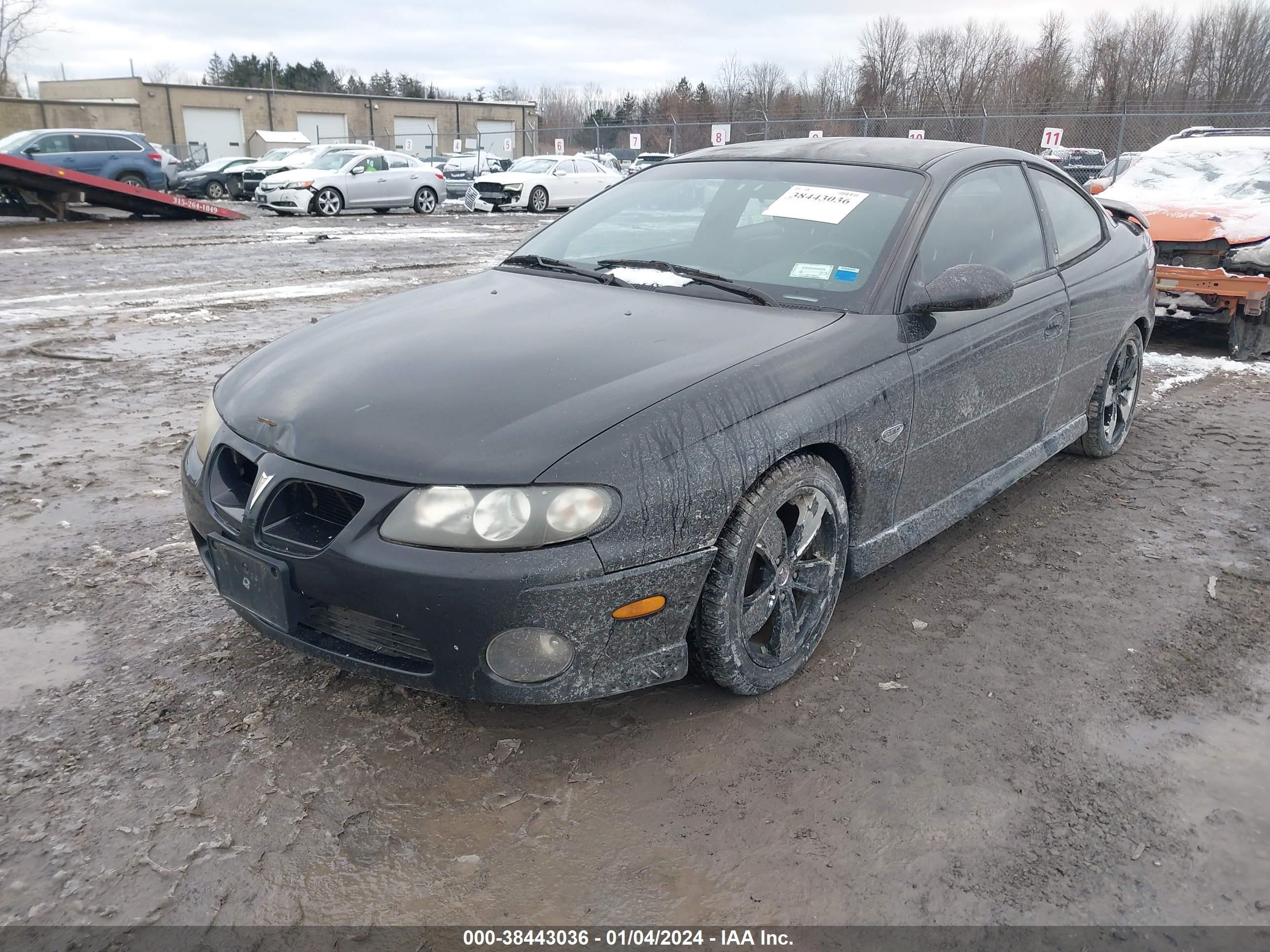 Photo 1 VIN: 6G2VX12G84L204042 - PONTIAC GTO 