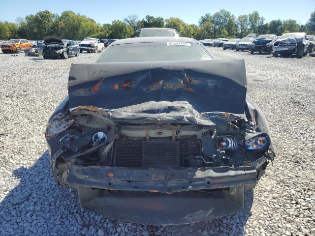 Photo 4 VIN: 6G2VX12G94L262838 - PONTIAC GTO 