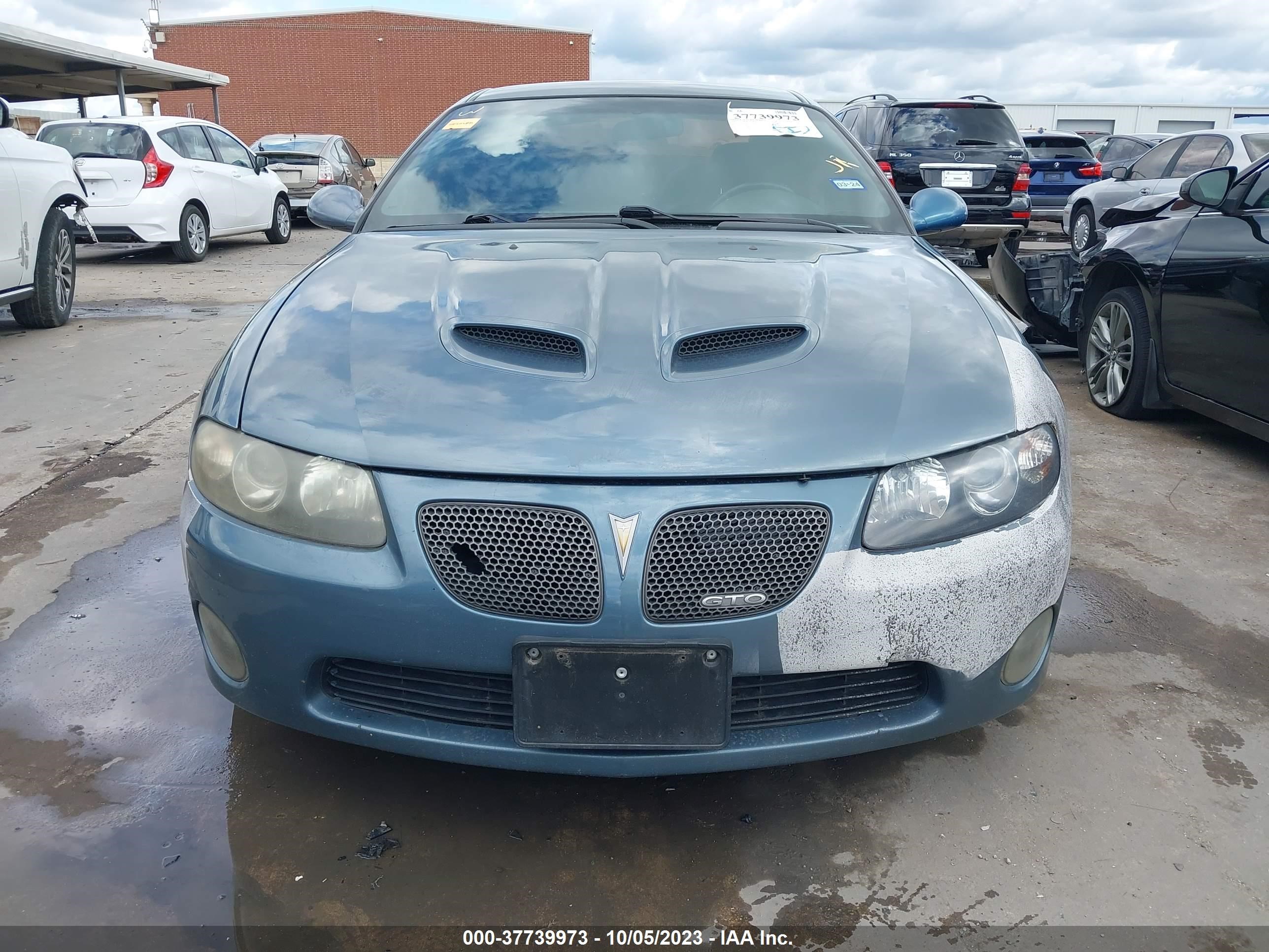 Photo 11 VIN: 6G2VX12U05L435864 - PONTIAC GTO 