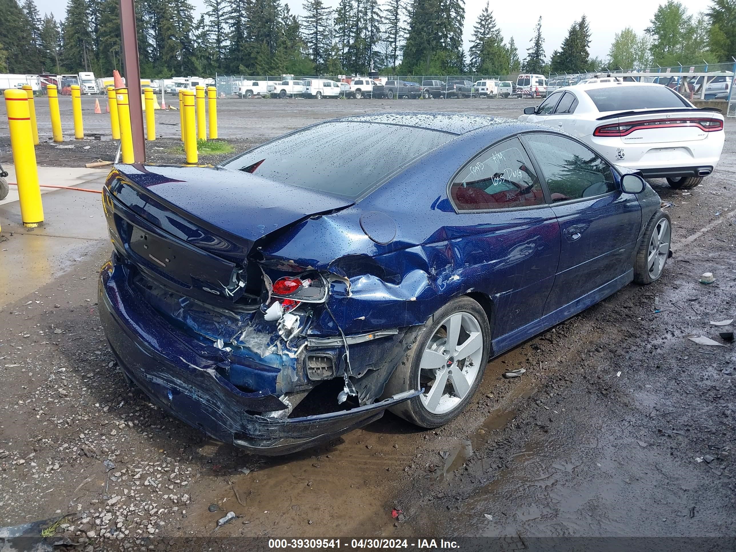 Photo 3 VIN: 6G2VX12U25L405989 - PONTIAC GTO 