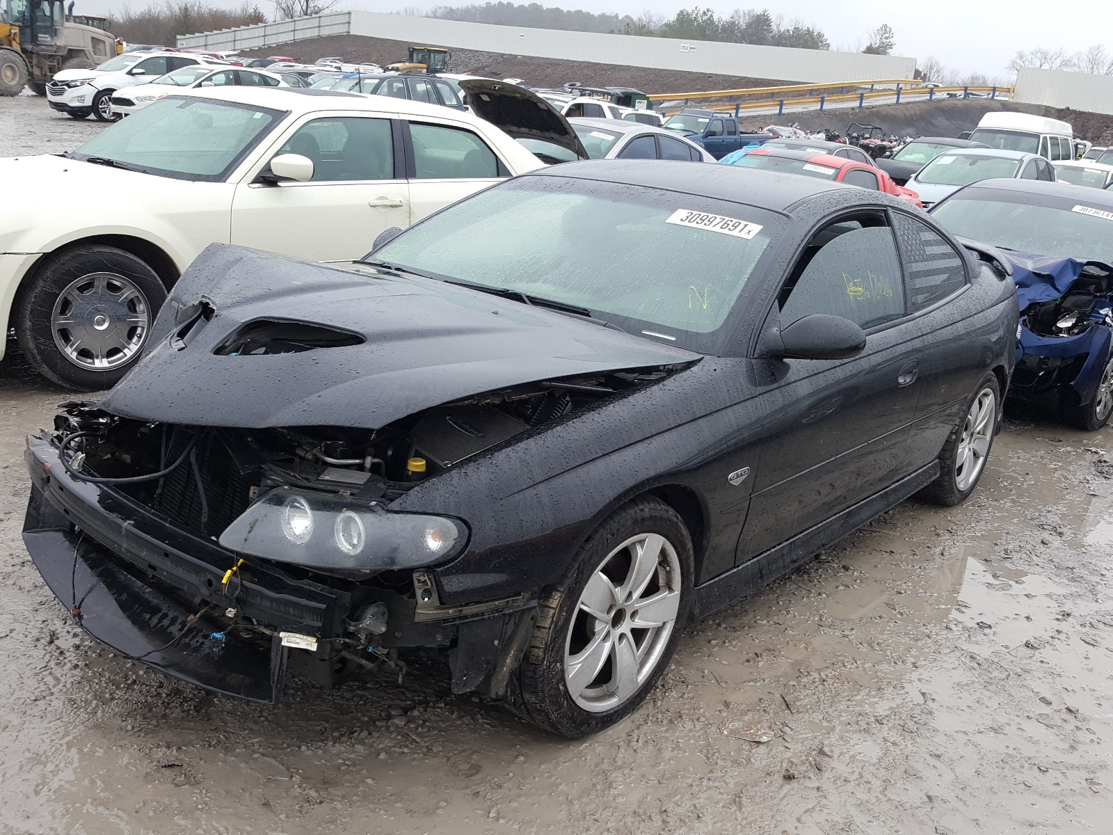 Photo 1 VIN: 6G2VX12U45L388077 - PONTIAC GTO 