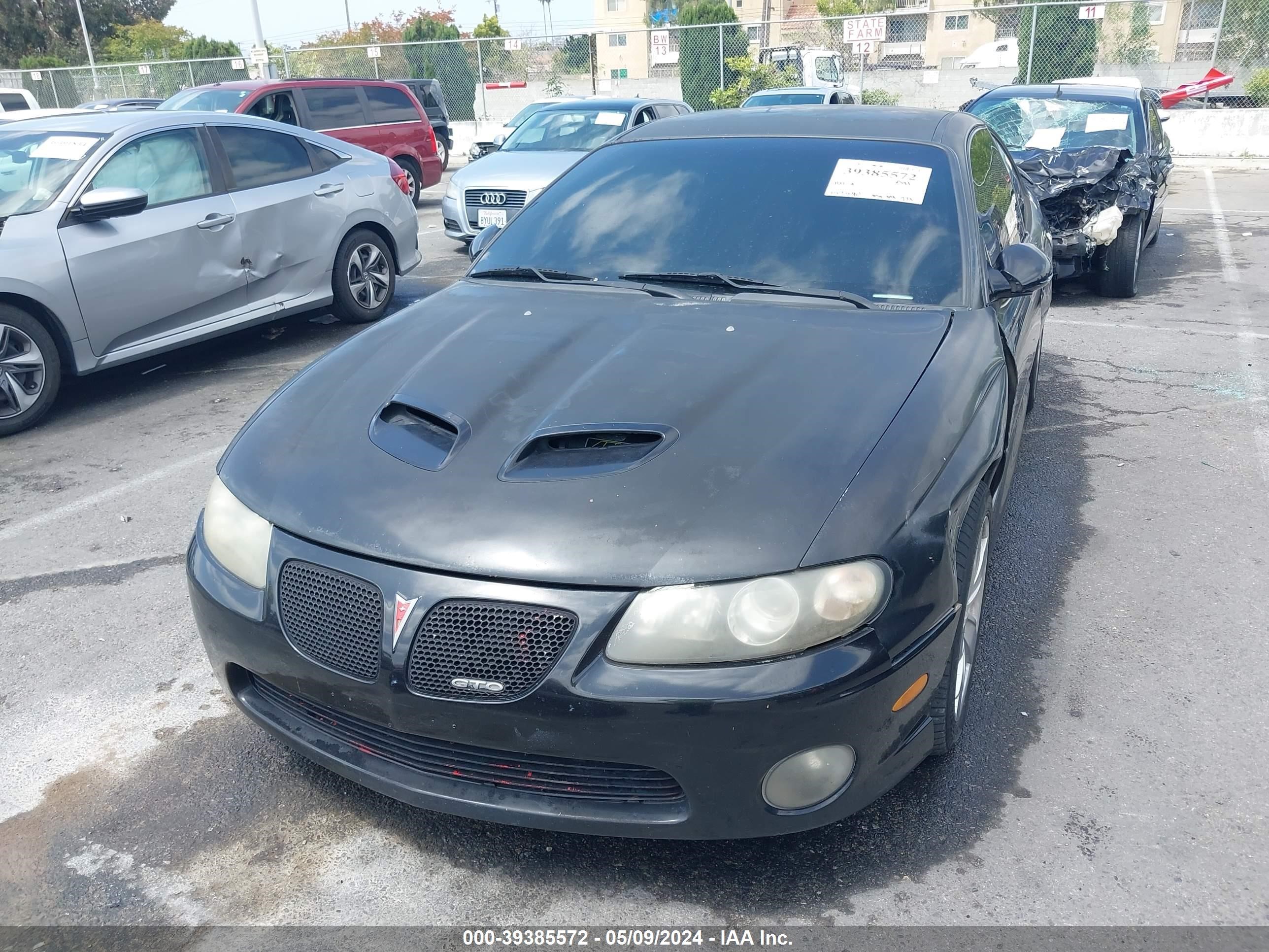 Photo 11 VIN: 6G2VX12U66L505983 - PONTIAC GTO 