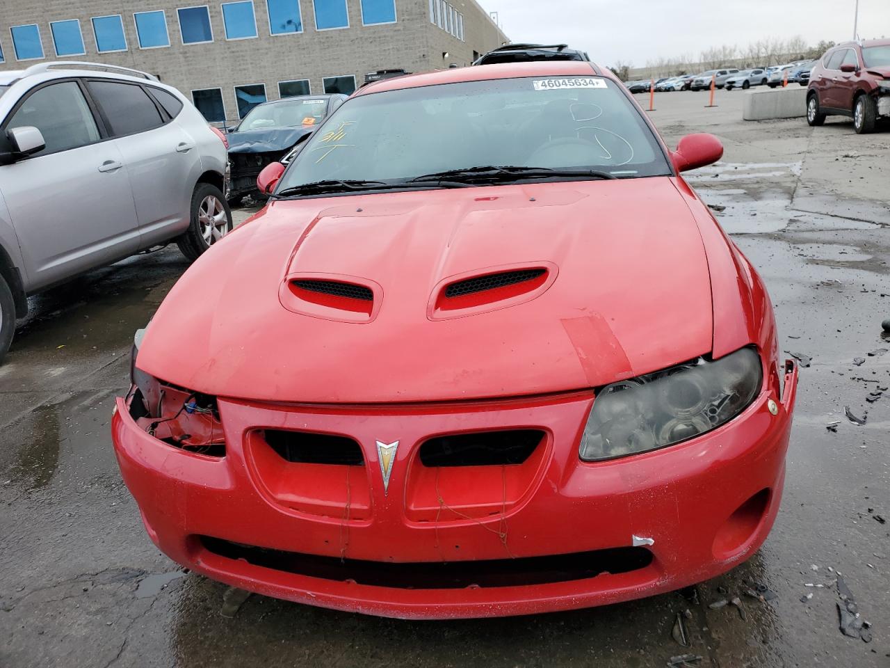 Photo 4 VIN: 6G2VX12U66L810349 - PONTIAC GTO 