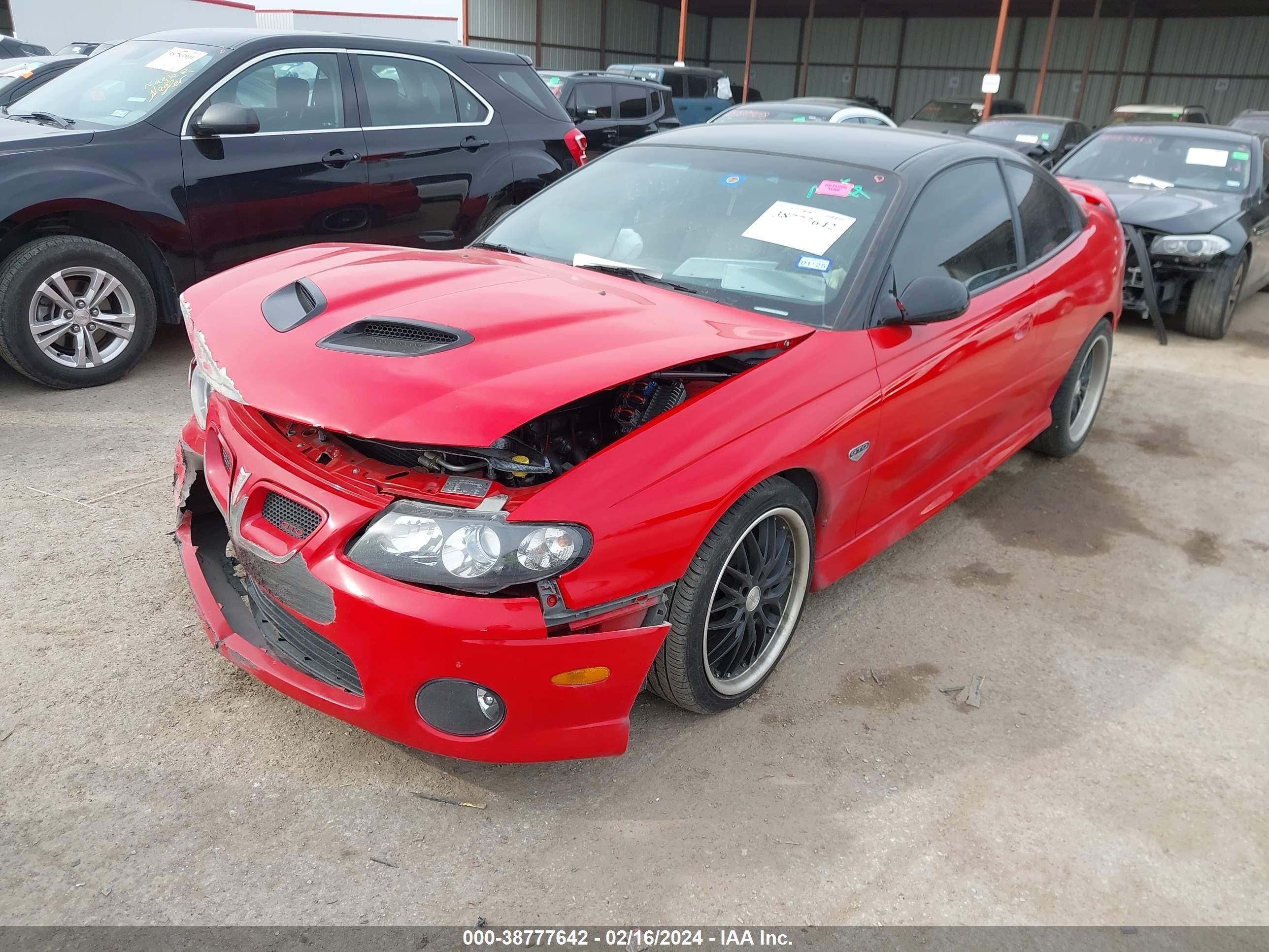 Photo 1 VIN: 6G2VX12U95L384669 - PONTIAC GTO 