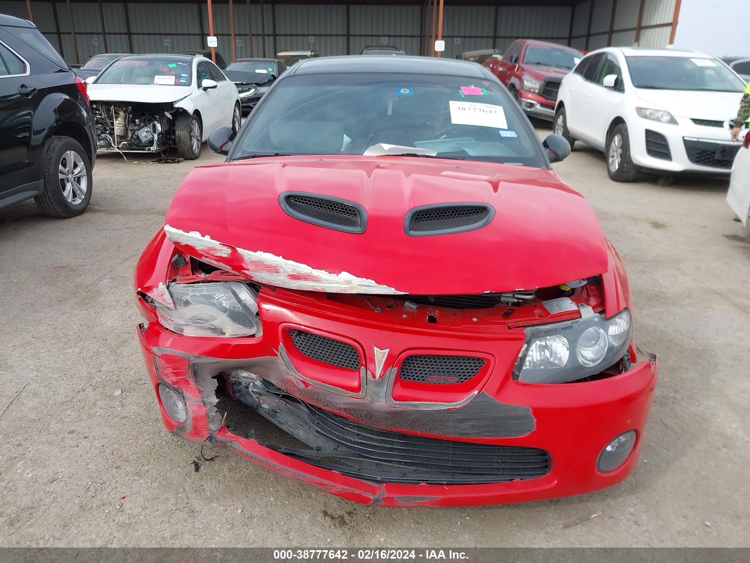 Photo 5 VIN: 6G2VX12U95L384669 - PONTIAC GTO 