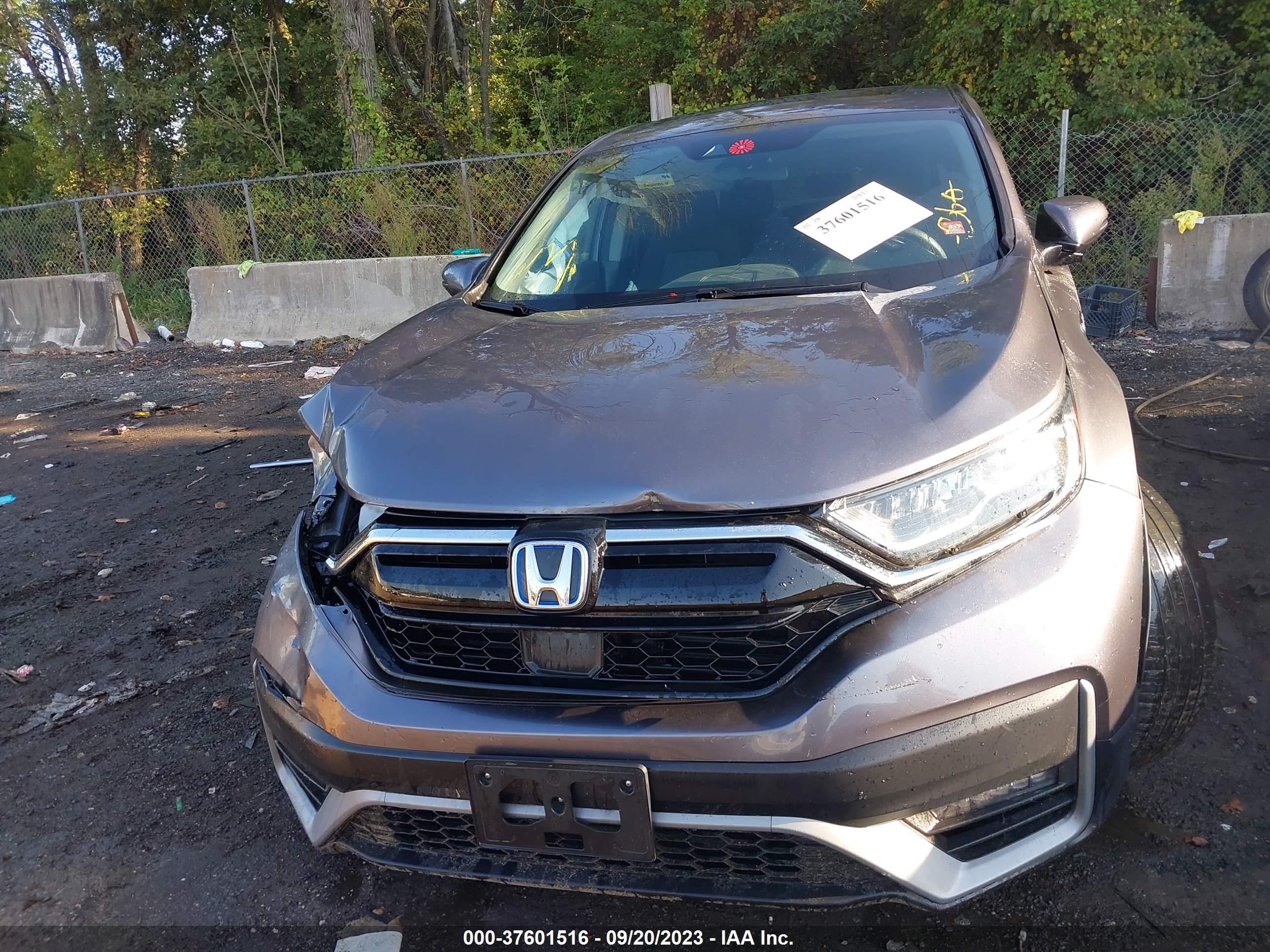 Photo 12 VIN: 7FART6H53LE024434 - HONDA CR-V 