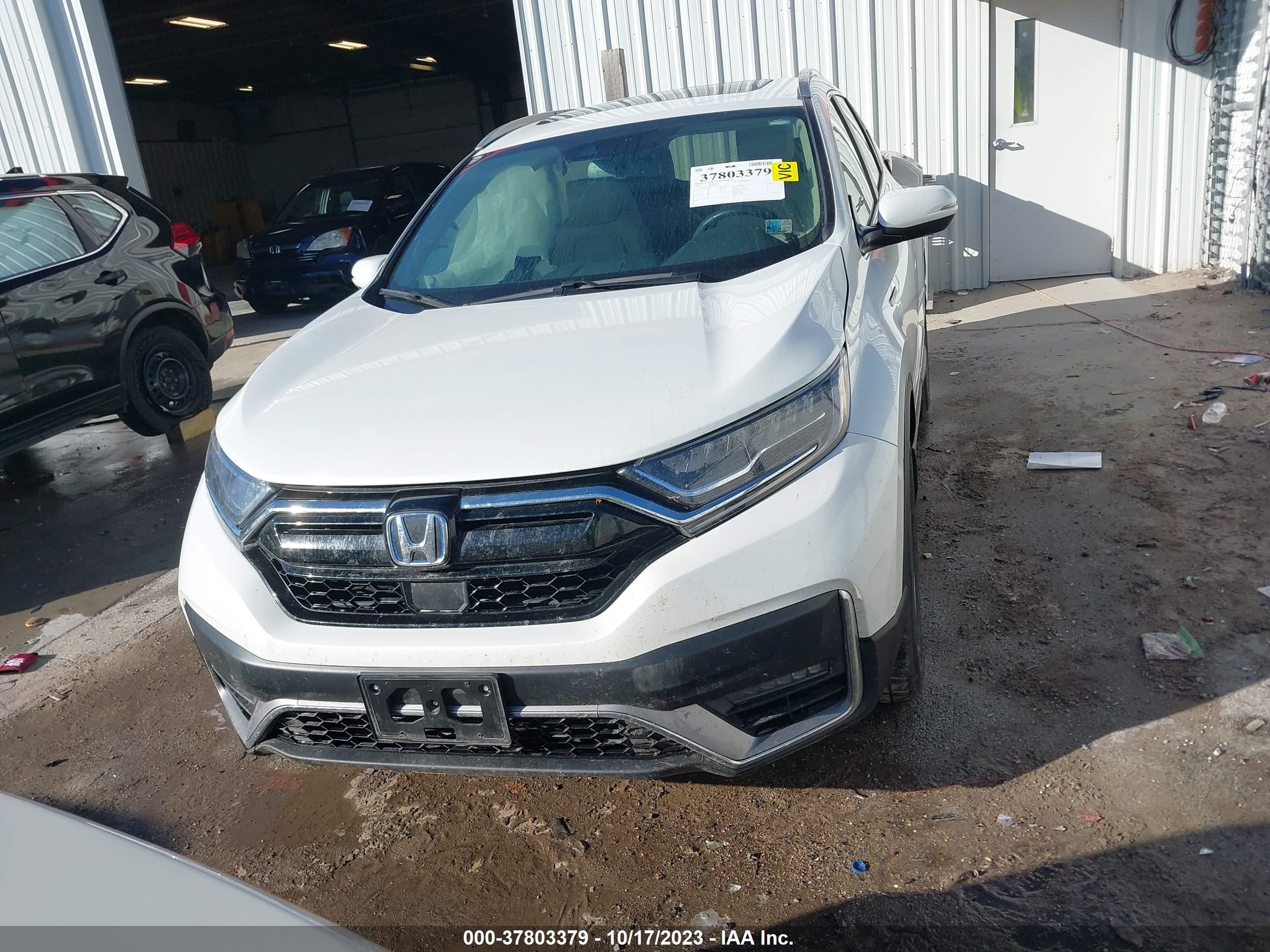 Photo 11 VIN: 7FART6H96LE023457 - HONDA CR-V 