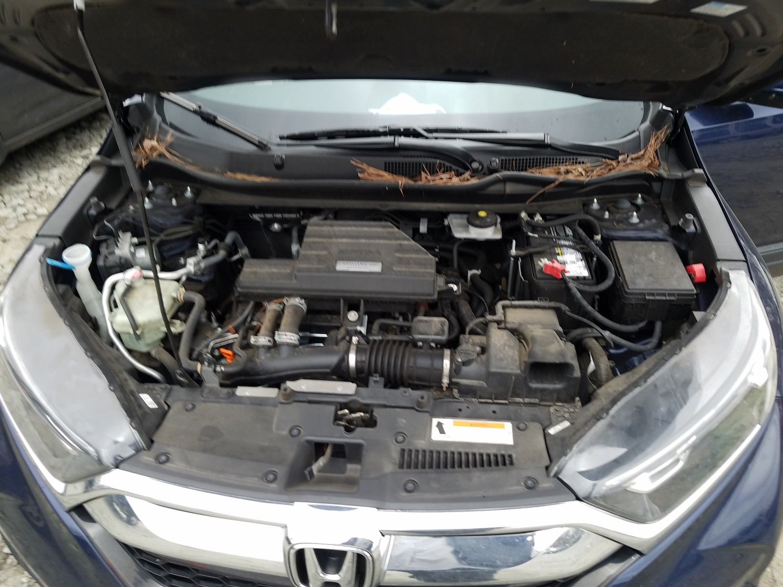 Photo 6 VIN: 7FARW1H82HE033637 - HONDA CR-V EXL 