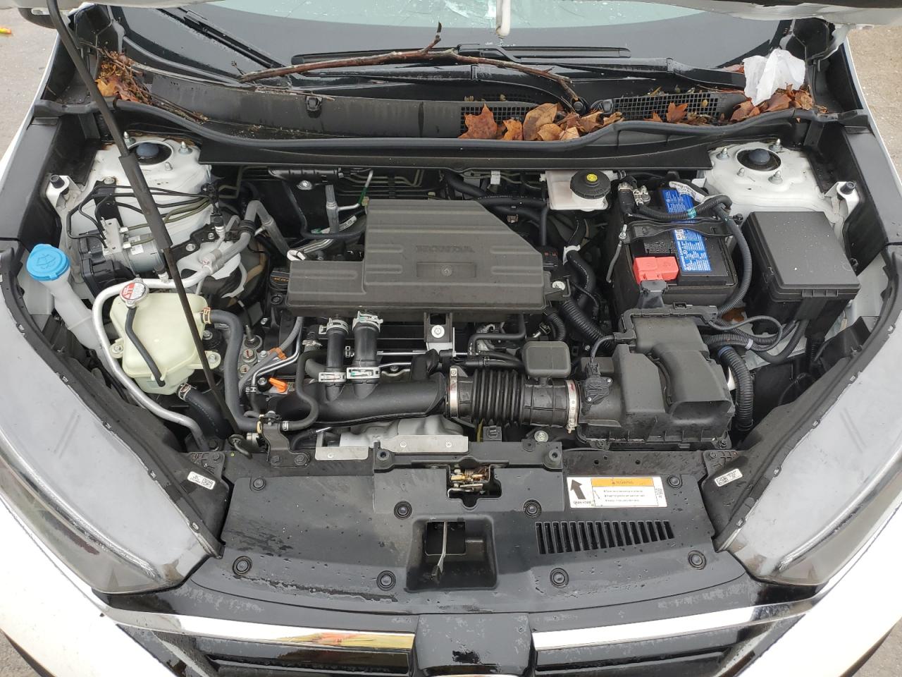 Photo 11 VIN: 7FARW2H27NE001442 - HONDA CR-V 