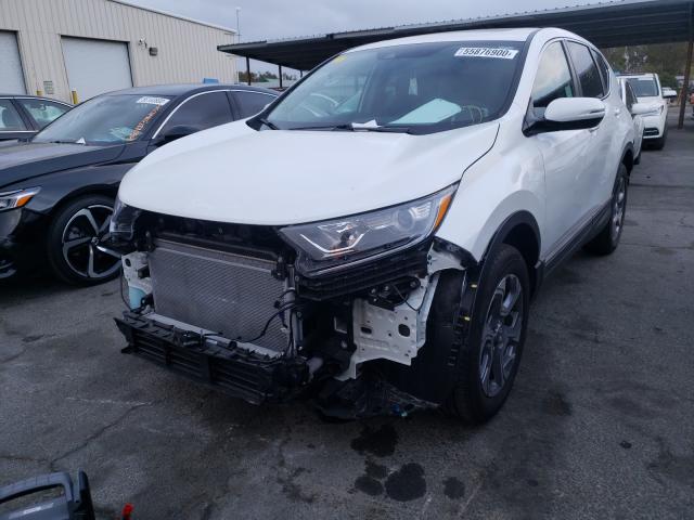 Photo 1 VIN: 7FARW2H52KE059304 - HONDA CR-V EX 