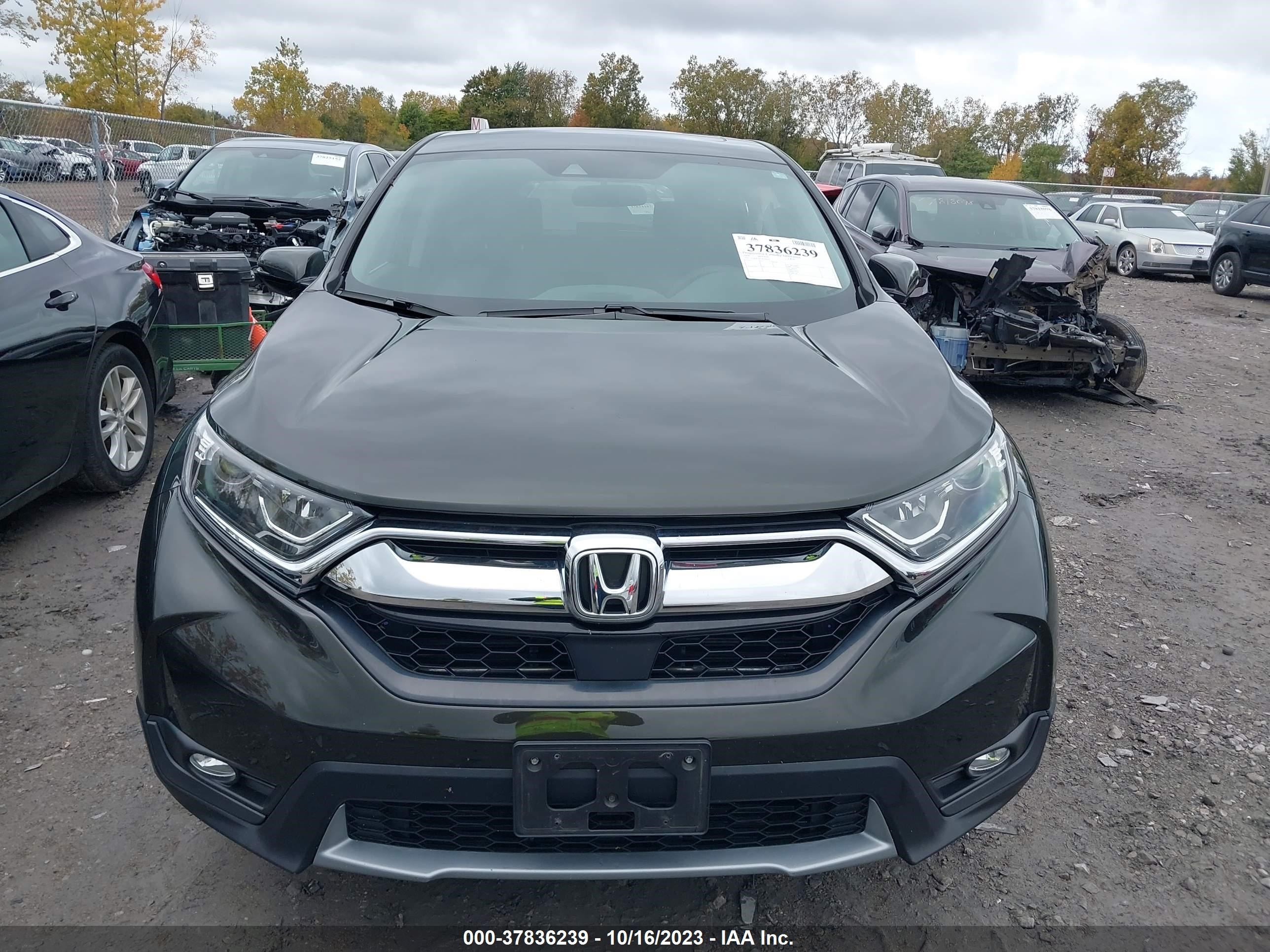 Photo 11 VIN: 7FARW2H57JE009111 - HONDA CR-V 