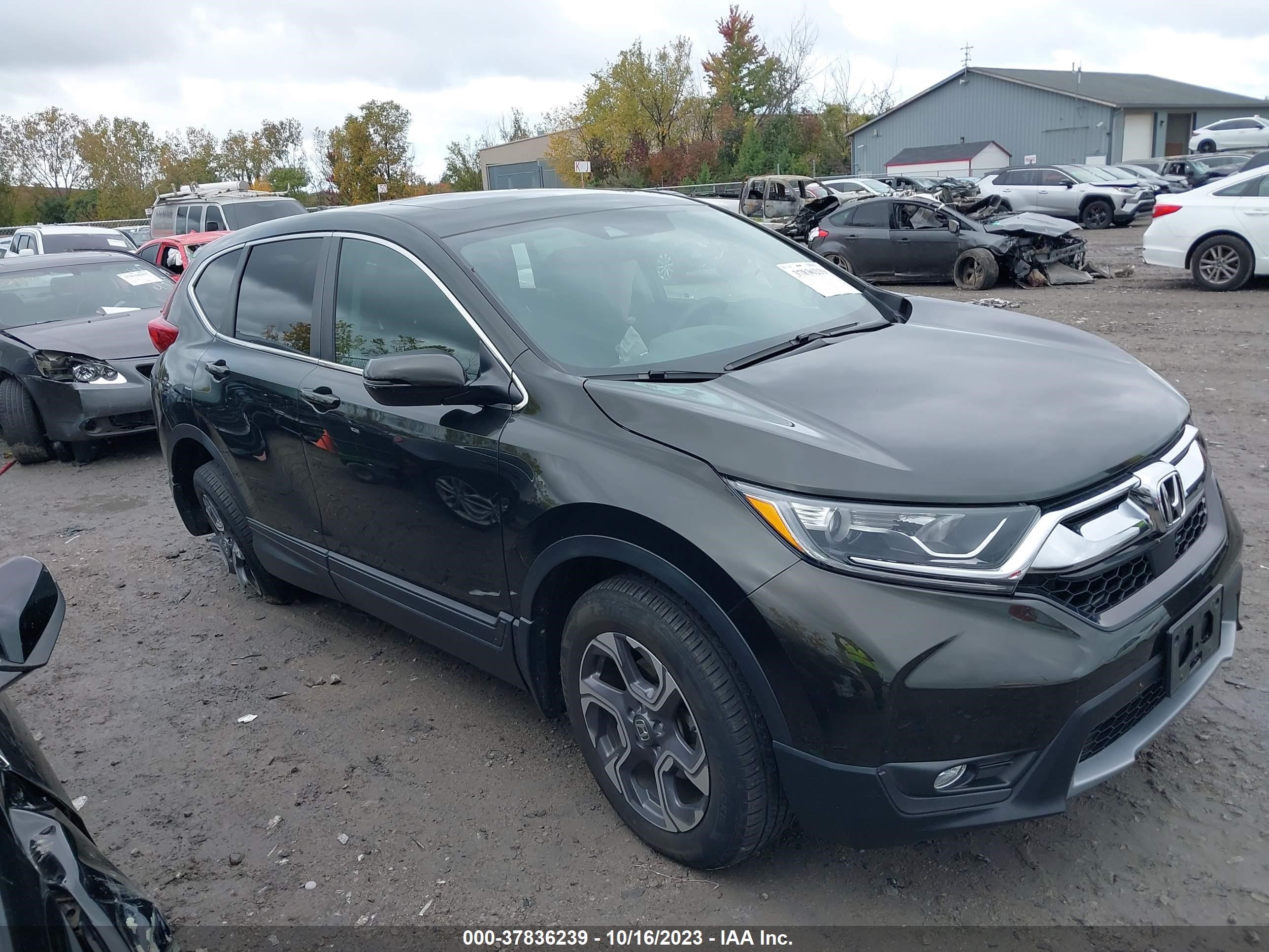 Photo 12 VIN: 7FARW2H57JE009111 - HONDA CR-V 