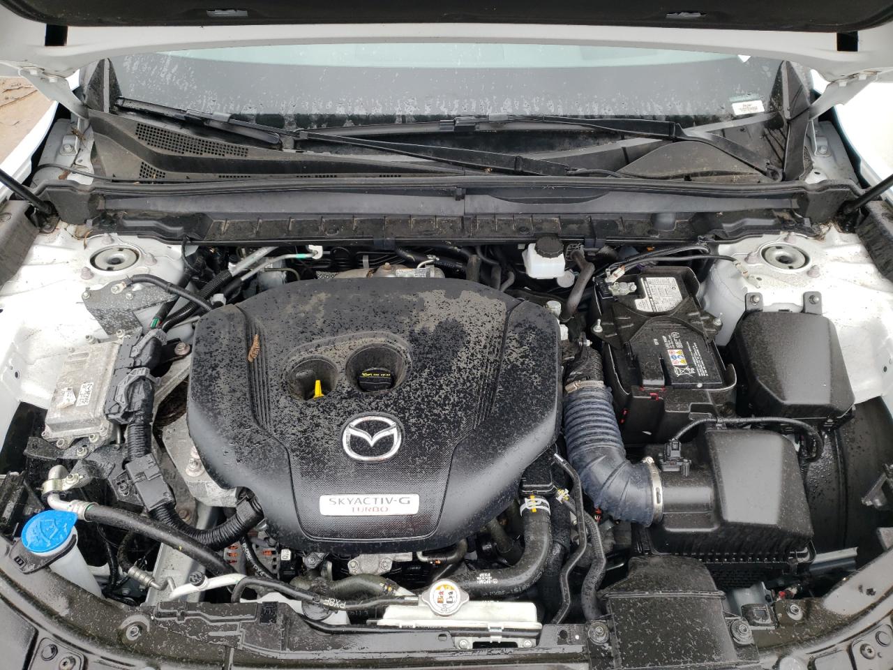 Photo 11 VIN: 7MMVABEY0PN128491 - MAZDA NULL 