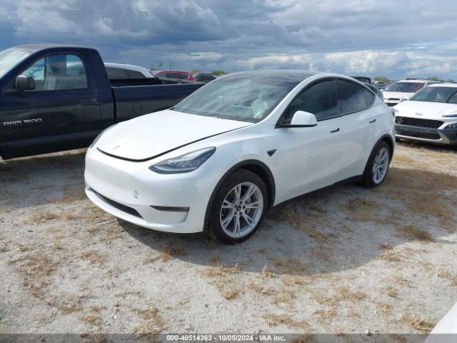 Photo 1 VIN: 7SAYGAEE0NF427036 - TESLA MODEL Y 