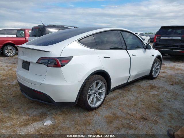 Photo 3 VIN: 7SAYGAEE0NF427036 - TESLA MODEL Y 