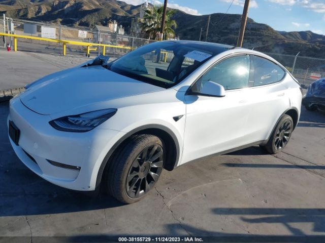 Photo 1 VIN: 7SAYGAEE0NF431961 - TESLA MODEL Y 