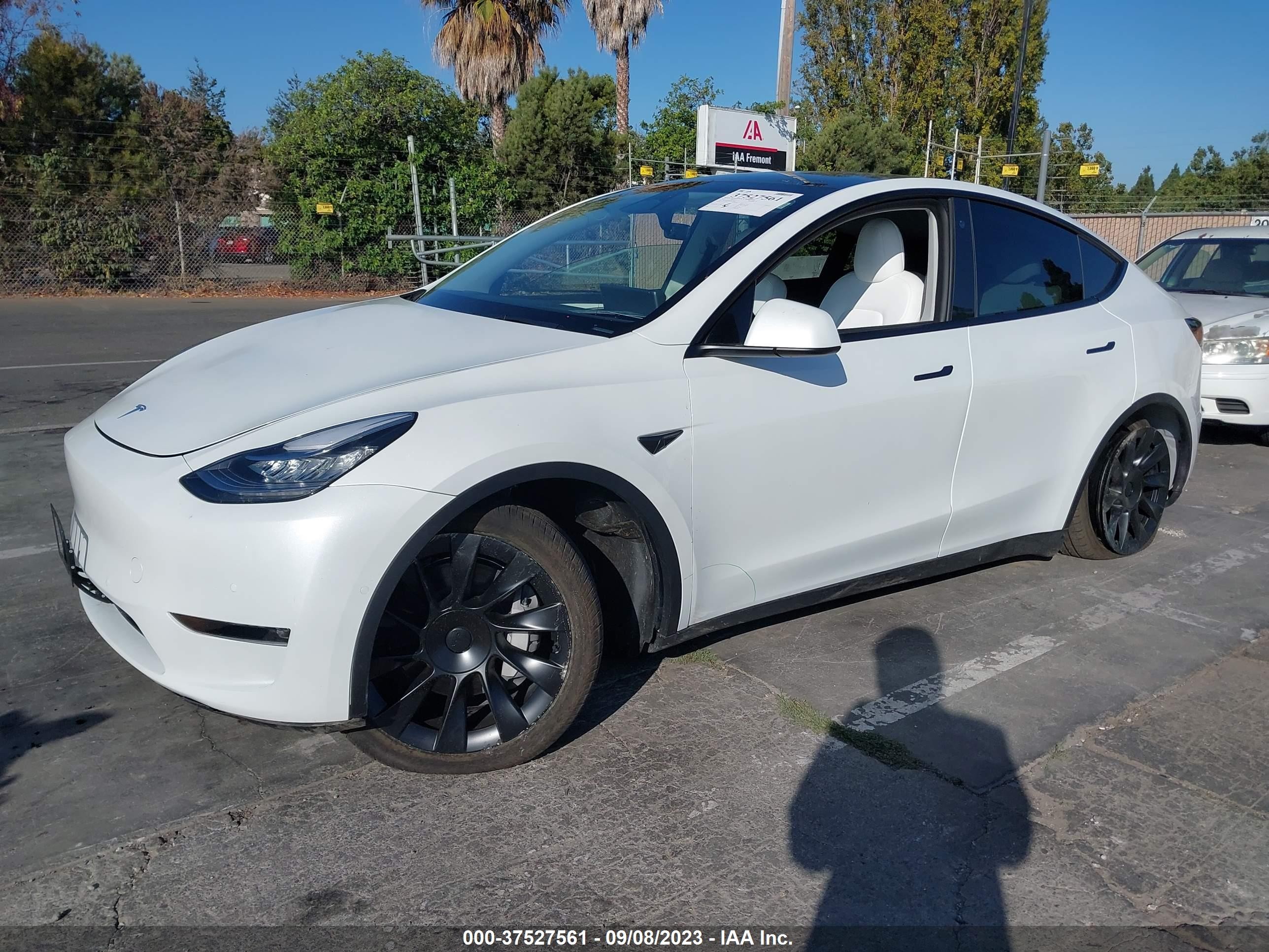 Photo 1 VIN: 7SAYGAEE0NF570813 - TESLA MODEL Y 