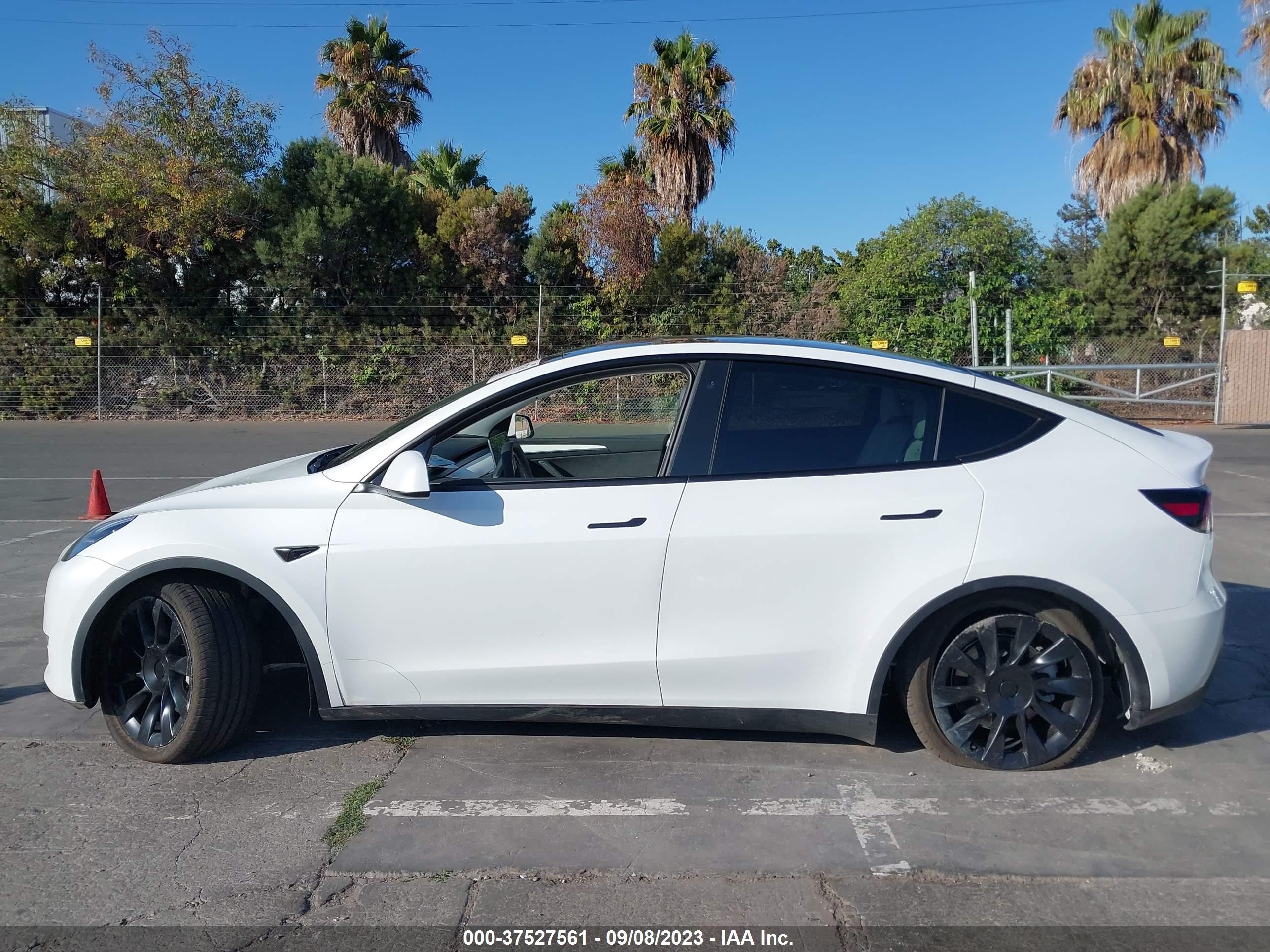 Photo 12 VIN: 7SAYGAEE0NF570813 - TESLA MODEL Y 