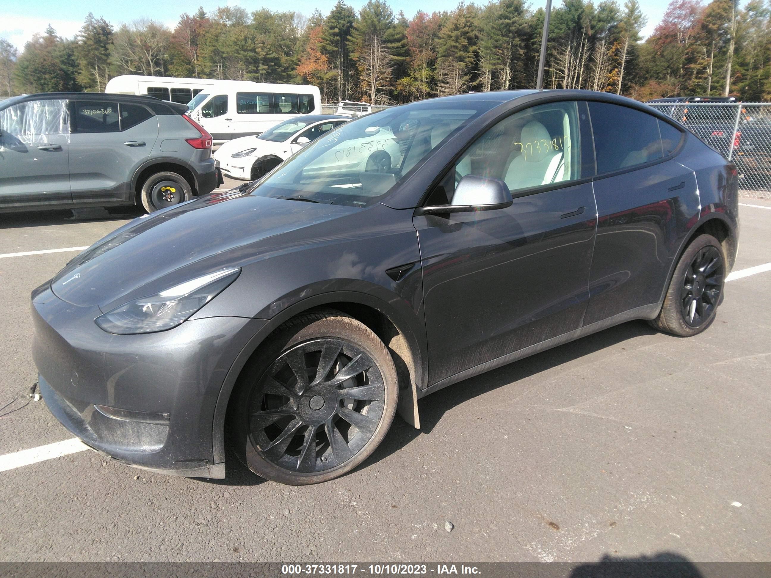 Photo 1 VIN: 7SAYGAEE0PF756676 - TESLA MODEL Y 