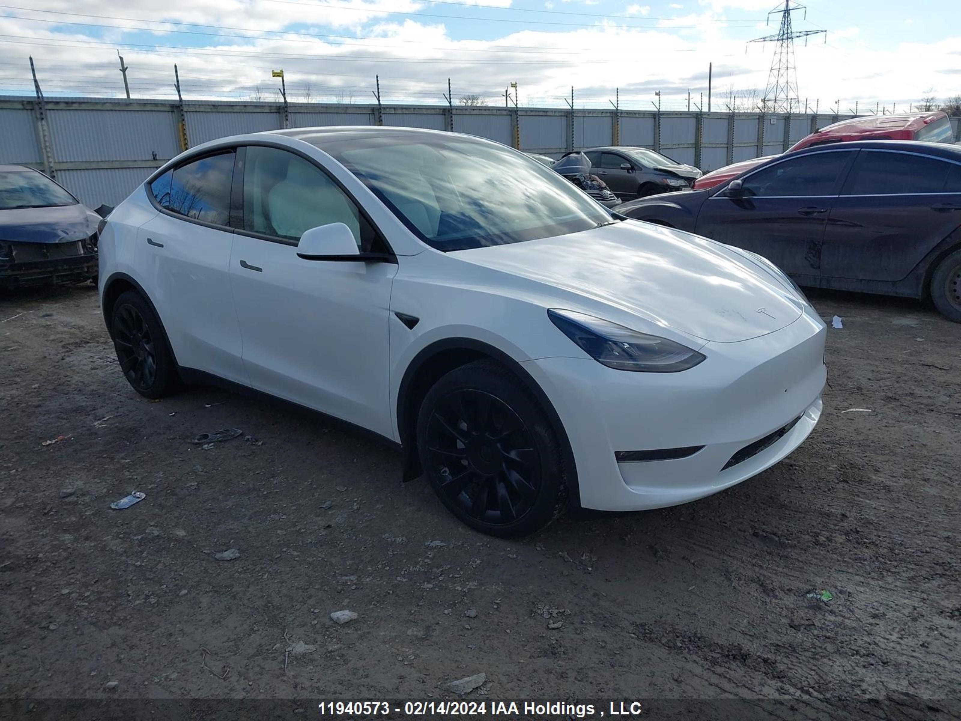 Photo 0 VIN: 7SAYGAEE0PF765510 - TESLA MODEL Y 