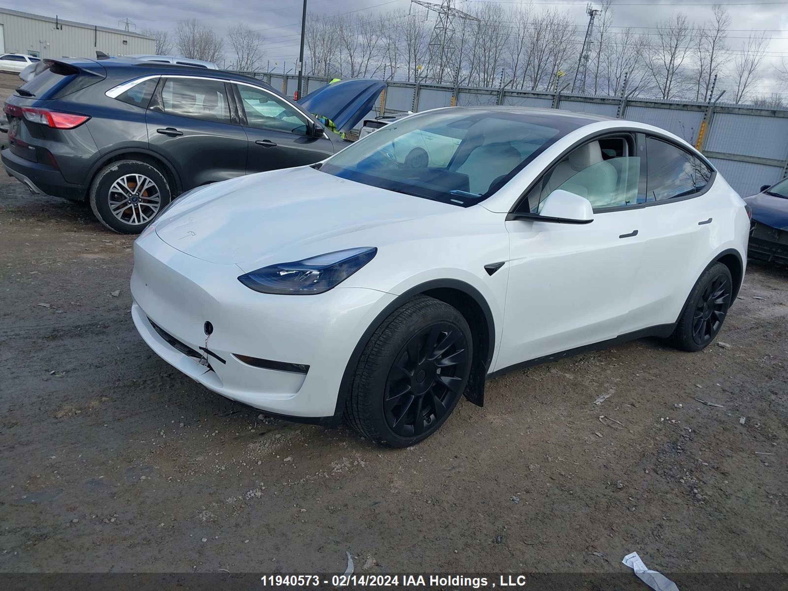 Photo 1 VIN: 7SAYGAEE0PF765510 - TESLA MODEL Y 