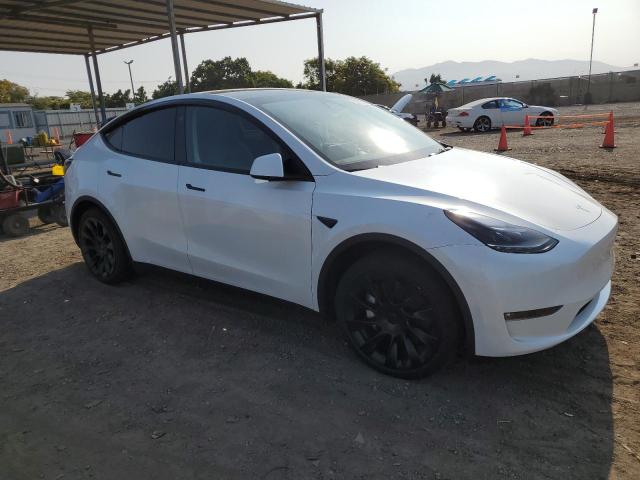 Photo 3 VIN: 7SAYGAEE0RF015544 - TESLA MODEL Y 