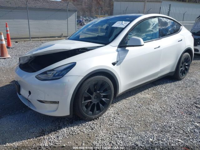 Photo 1 VIN: 7SAYGAEE1NF322604 - TESLA MODEL Y 