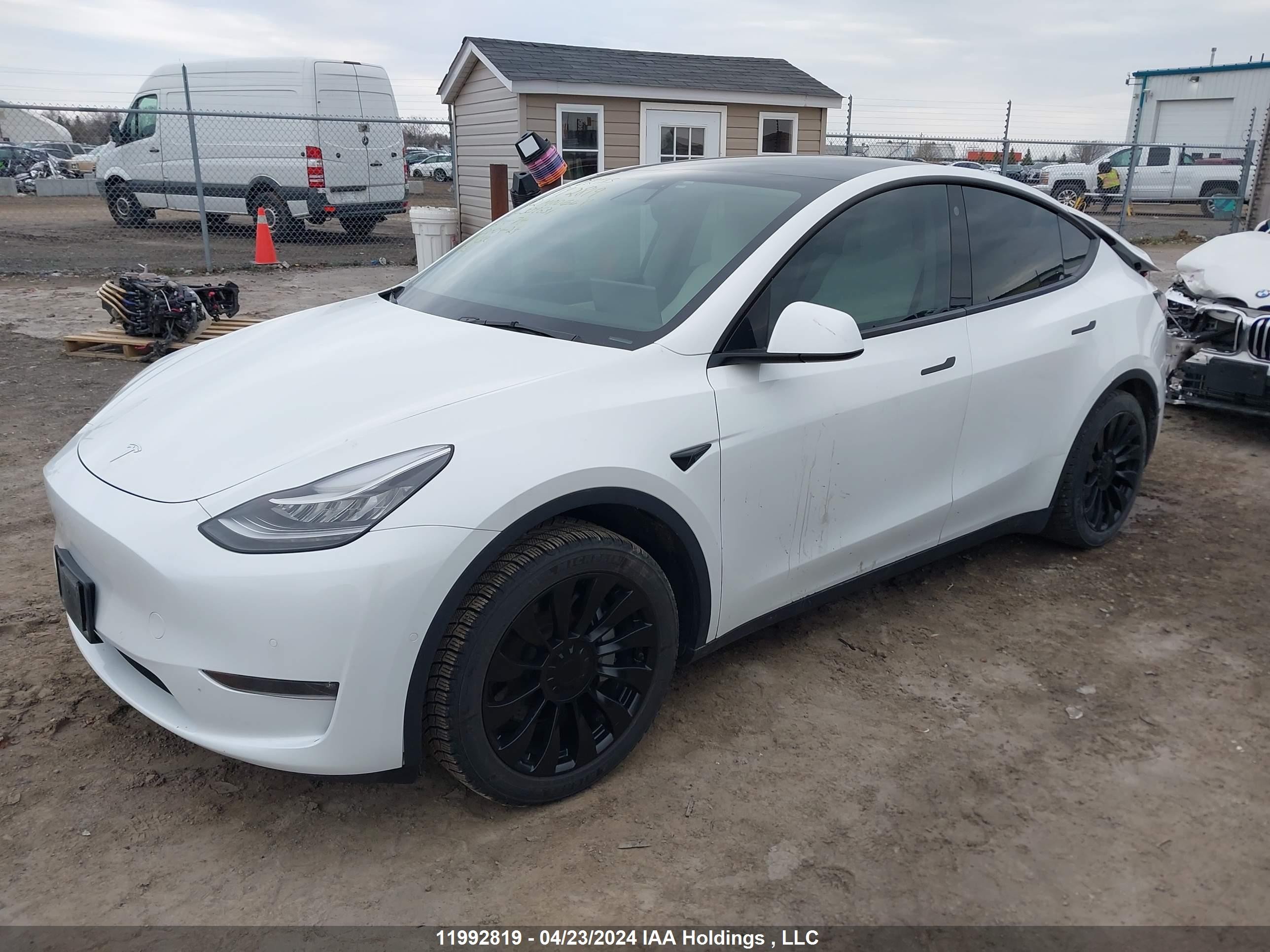 Photo 1 VIN: 7SAYGAEE1NF339631 - TESLA MODEL Y 