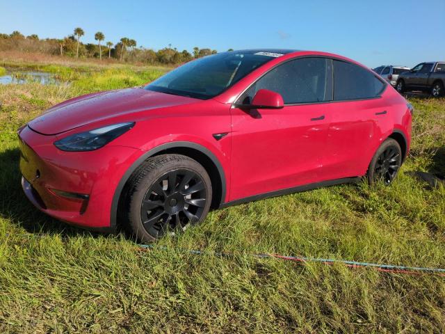 Photo 0 VIN: 7SAYGAEE1NF538081 - TESLA MODEL Y 