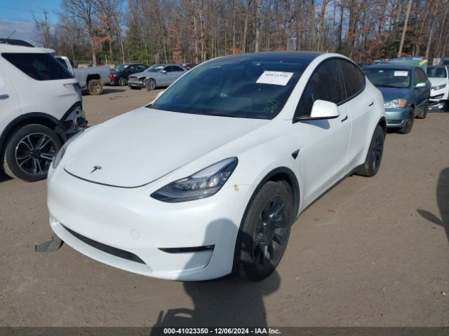 Photo 1 VIN: 7SAYGAEE1PF584061 - TESLA MODEL Y 