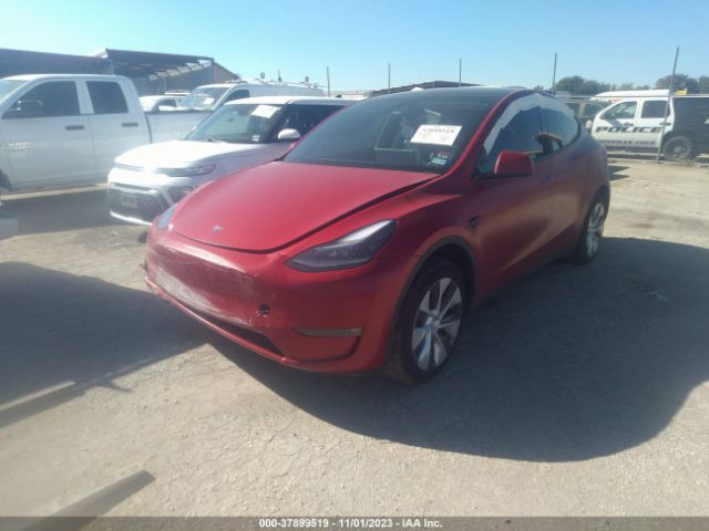 Photo 1 VIN: 7SAYGAEE1PF608102 - TESLA MODEL Y 