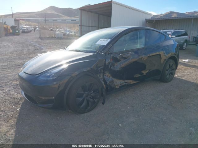 Photo 1 VIN: 7SAYGAEE1RF113790 - TESLA MODEL Y 