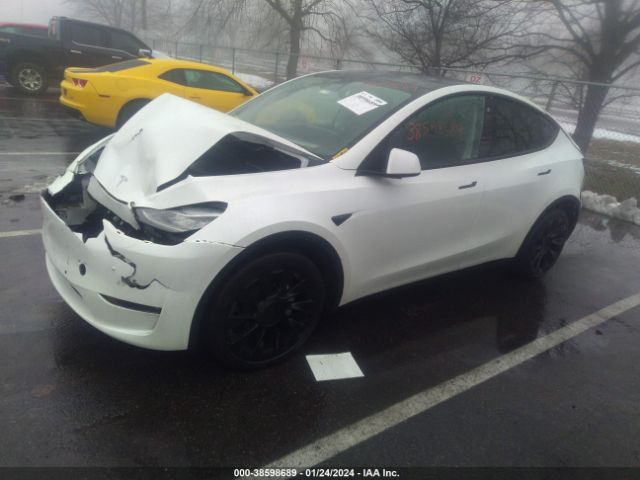 Photo 1 VIN: 7SAYGAEE2NF367082 - TESLA MODEL Y 