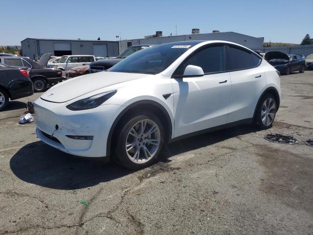 Photo 0 VIN: 7SAYGAEE2NF556296 - TESLA MODEL Y 