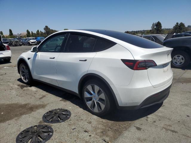 Photo 1 VIN: 7SAYGAEE2NF556296 - TESLA MODEL Y 